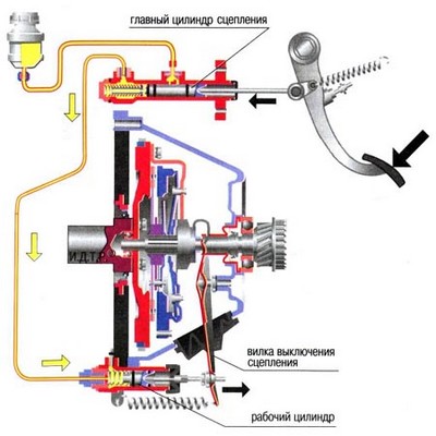Принцип работы сцепления автомобиля 